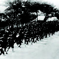 Scouts Out!