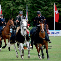 NMK Dressuur en Springen